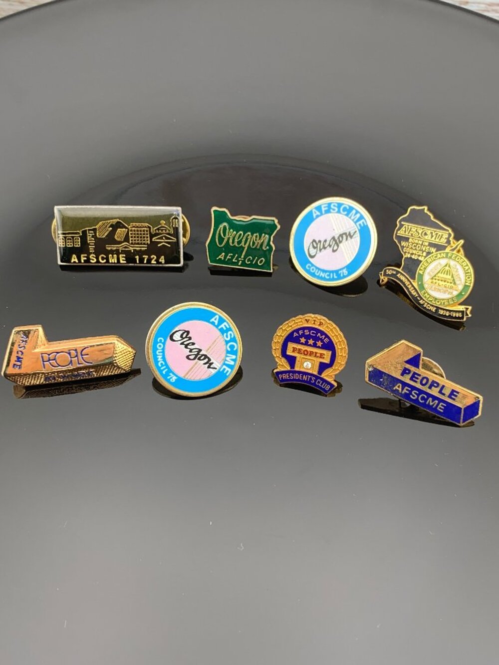 Lot 8 Union Pins Vintage OREGON & WI AFSCME Union 65 Made J687